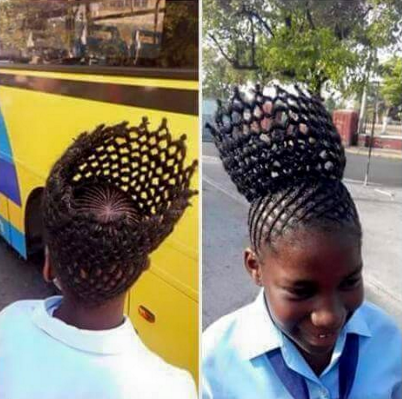 圖片來源：jamaicanbuzz