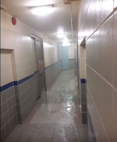 圖片來源:youtube 截圖