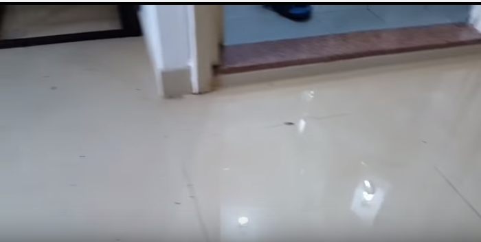 圖片來源:youtube 截圖