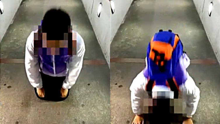 圖片來源:蘋果日報