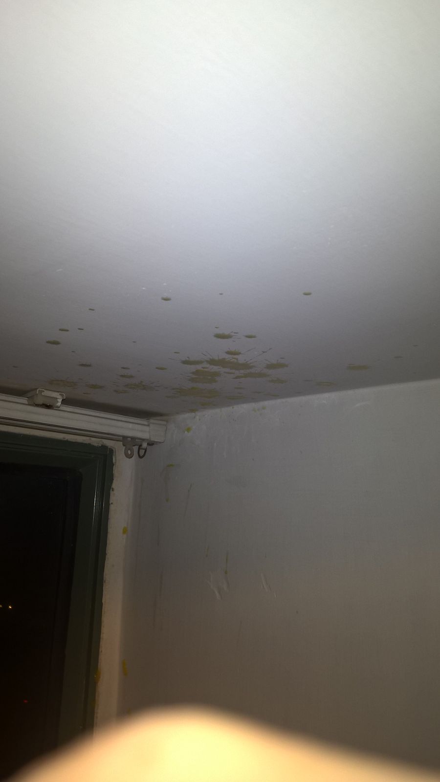 圖片來源：自修室痴線佬/高登討論區