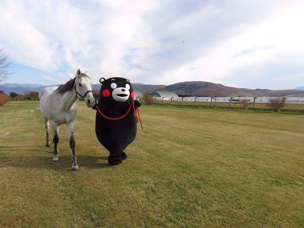 圖片來源：くまモン Kumamon 熊本熊 Kawaii