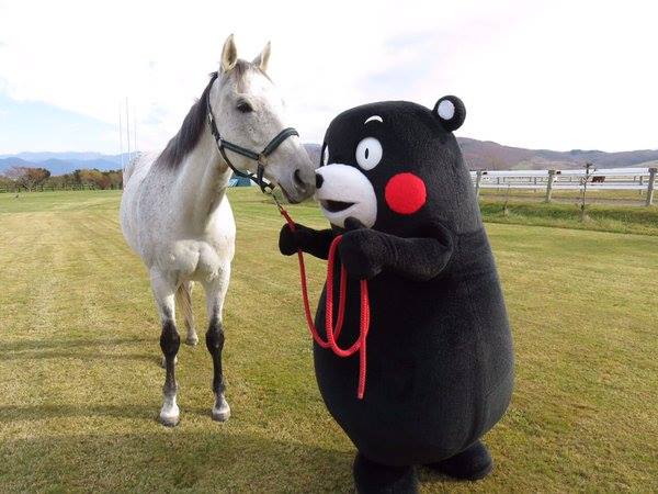 圖片來源：くまモン Kumamon 熊本熊 Kawaii