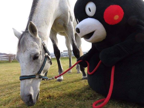 圖片來源：くまモン Kumamon 熊本熊 Kawaii