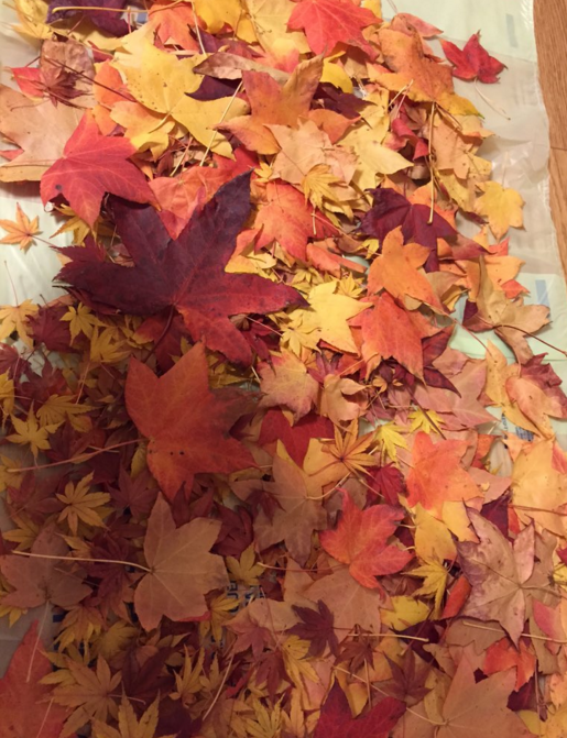 圖片來源：Xxx2251/twitter