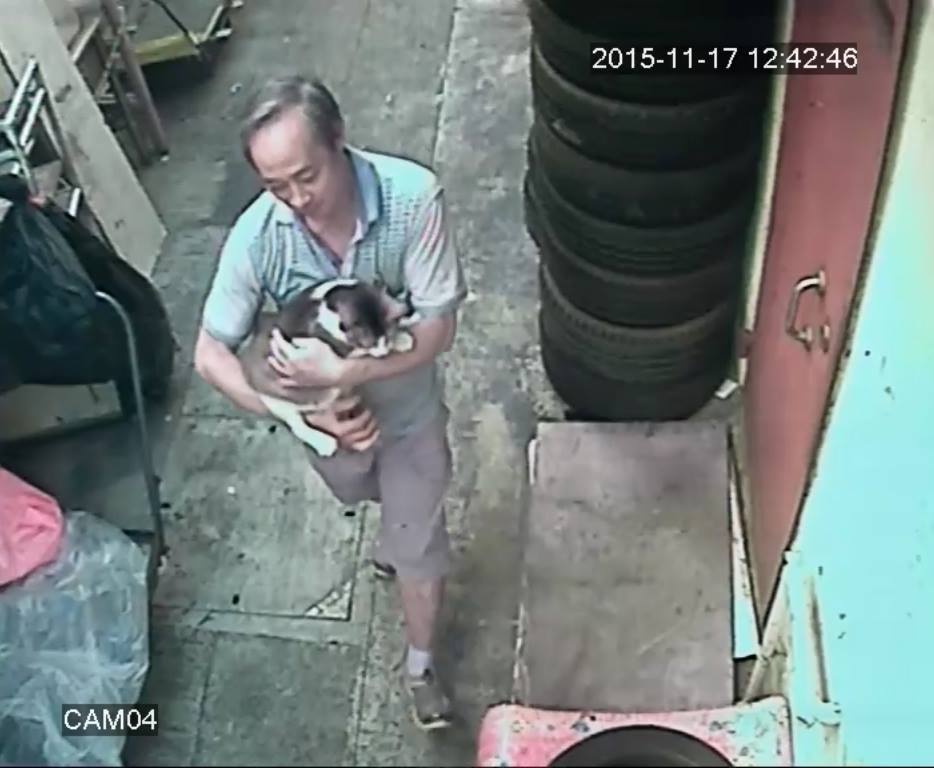 圖片來源:'Jimmy Lam/盡在元朗