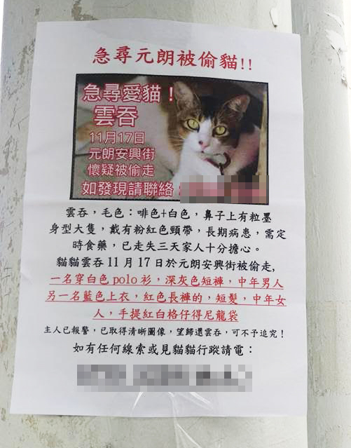 圖片來源:Maanying Kwan /天下貓貓一樣貓