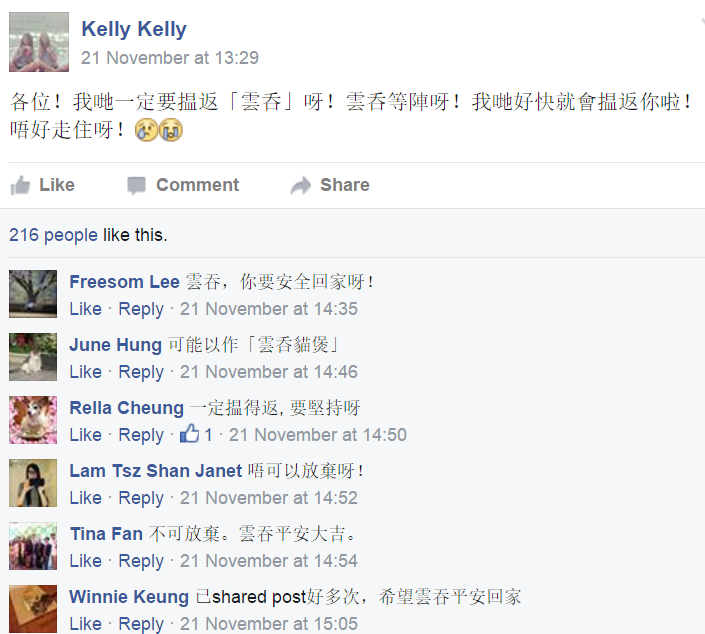 圖片來源:Kelly Kelly/天下貓貓一樣貓