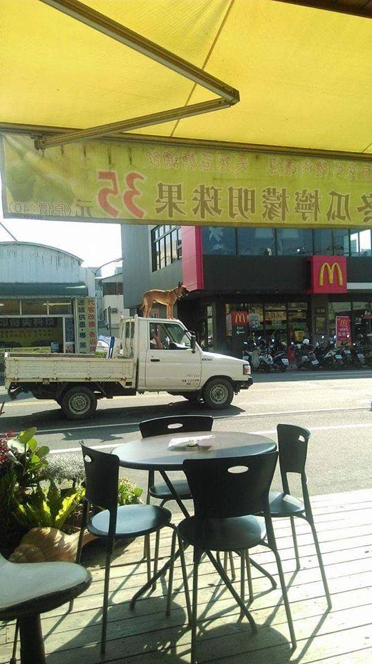 圖片來源：爆料公社