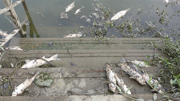 圖片來源：topick