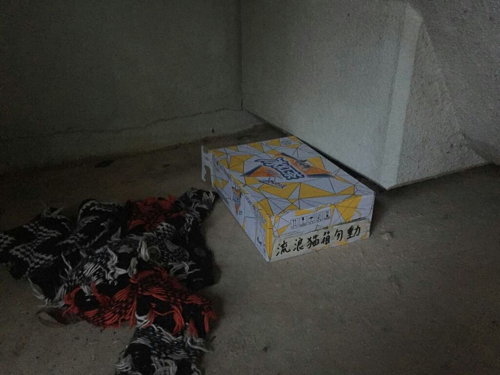 圖片來源:Roy CMK