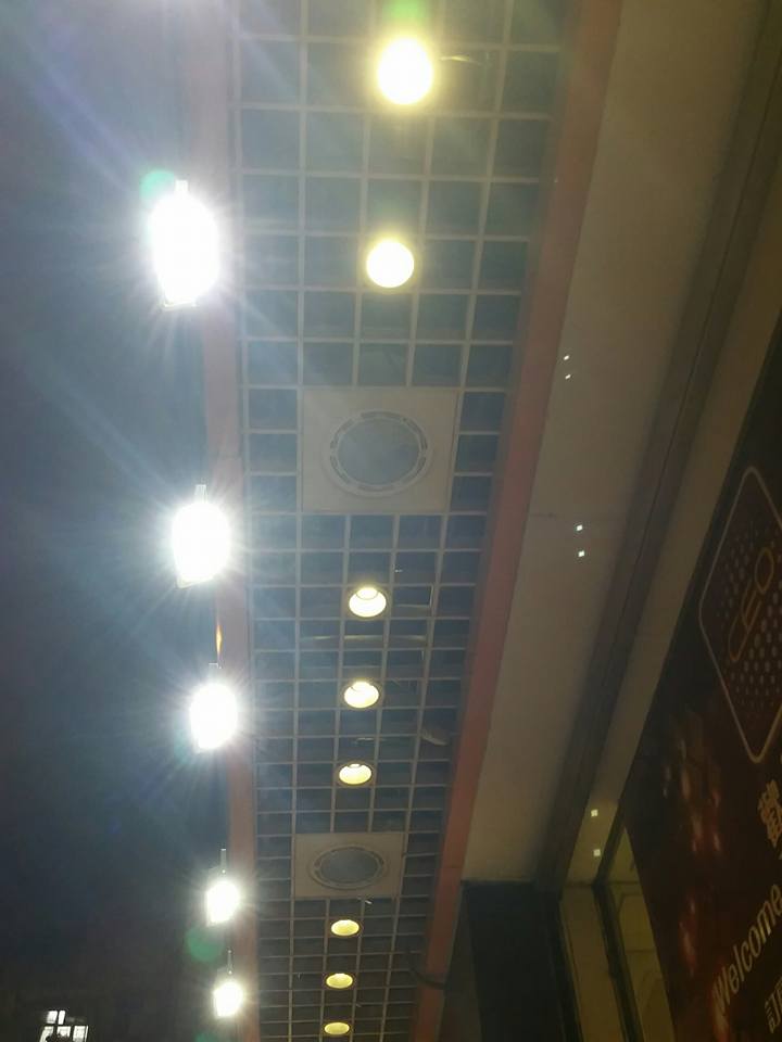 圖片來源：Fiona Tang‎/天下貓貓一樣貓