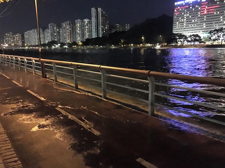 圖片來源：Carrie Ng‎/沙田區 Sha Tin District