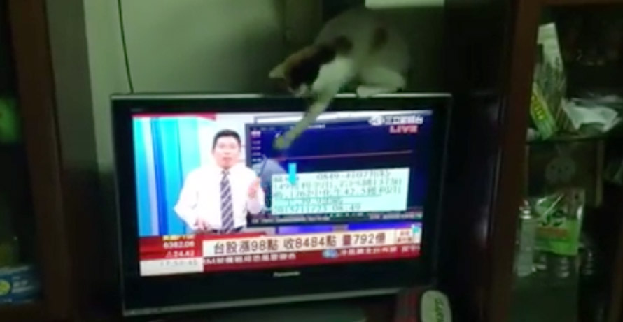 Keep Calm/‎貓咪也瘋狂俱樂部 CrazyCat club