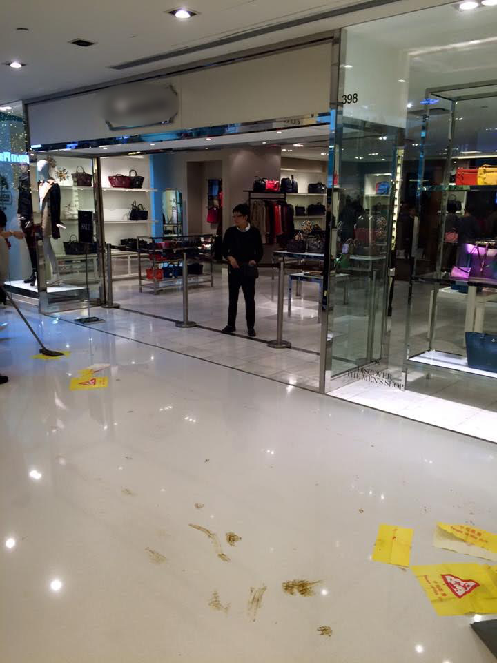 圖片來源:沙田區 Sha Tin District