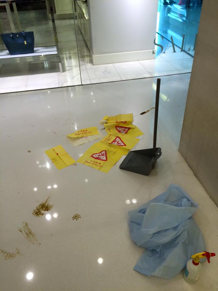 圖片來源:沙田區 Sha Tin District