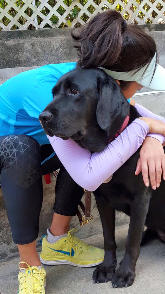 圖片來源:GuideDog Nana