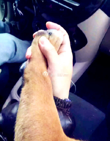 圖片來源:作家苗千語