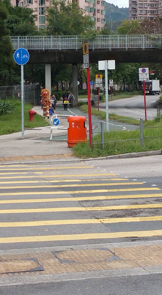 圖片來源:Woo Mei Yan/Tai Po大埔