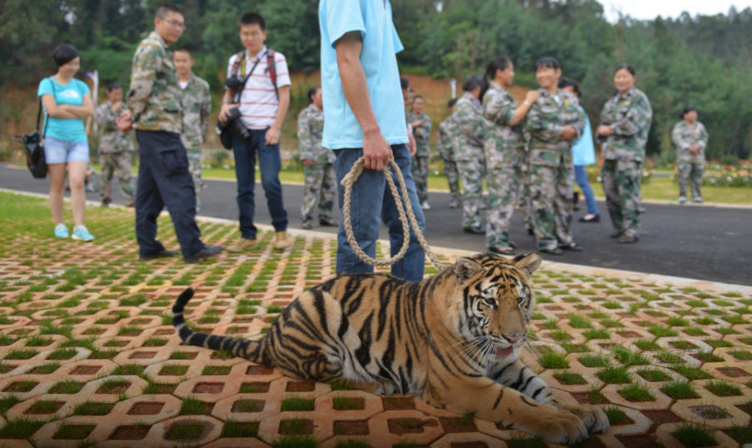 圖片來源：倍可親