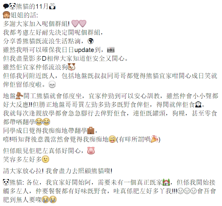 圖片來源:一隻名為熊貓的流浪狗故事 (待領養)