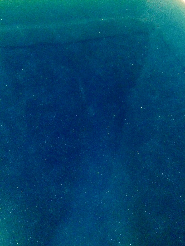 圖片來源：wani_yama／twitter 