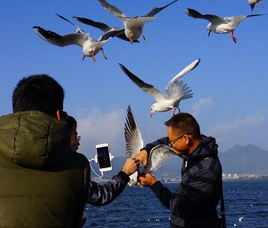 圖片來源：昆明信訊港