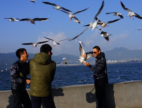 圖片來源：昆明信訊港