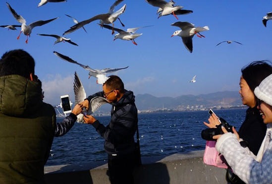 圖片來源：昆明信訊港