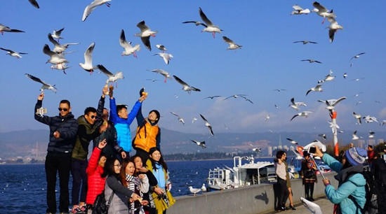 圖片來源：昆明信訊港