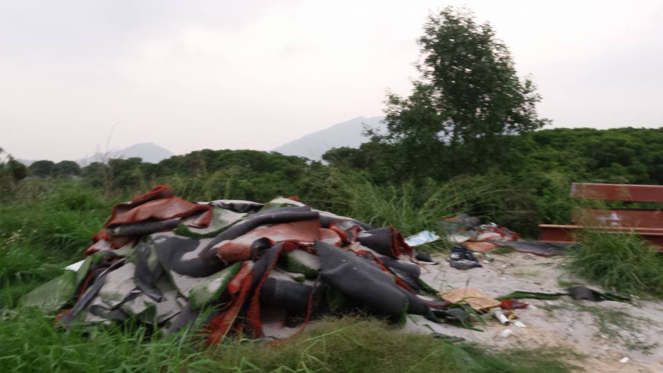 圖片來源:潘文