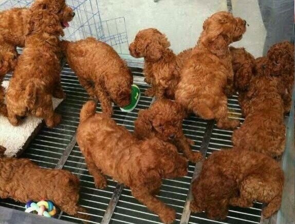 圖片來源：ettoday