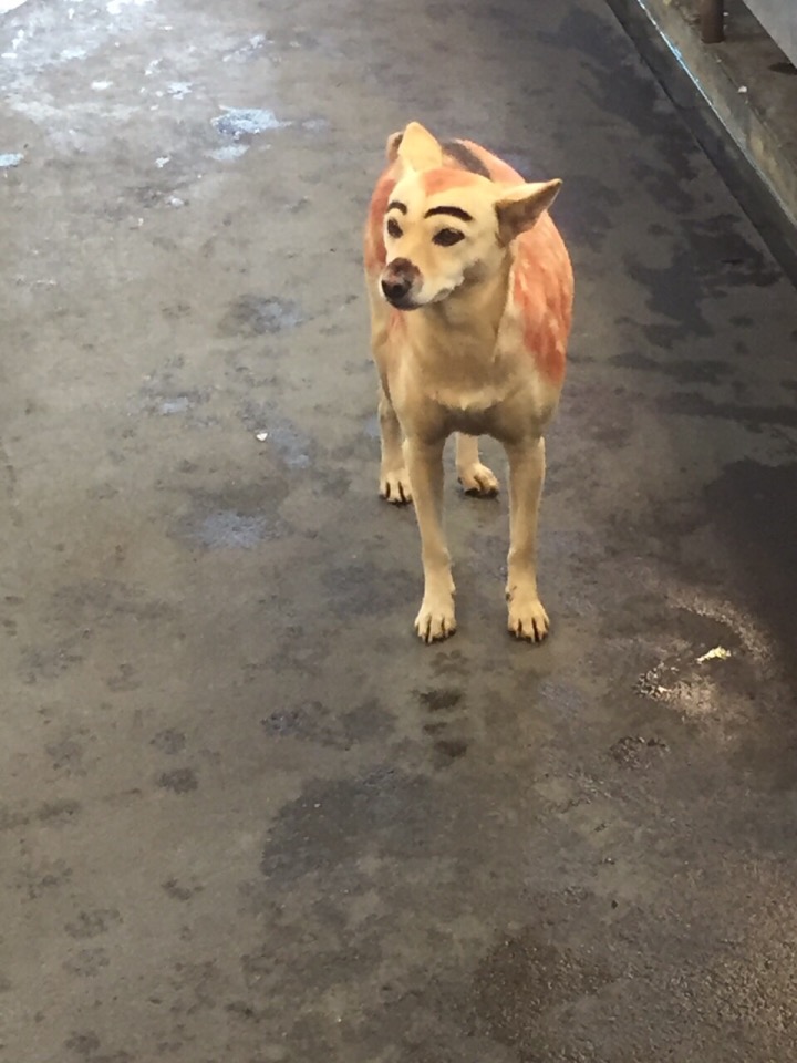 圖片來源:蘇靖雅/●【爆料公社】●