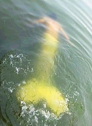 圖片來源:映象網