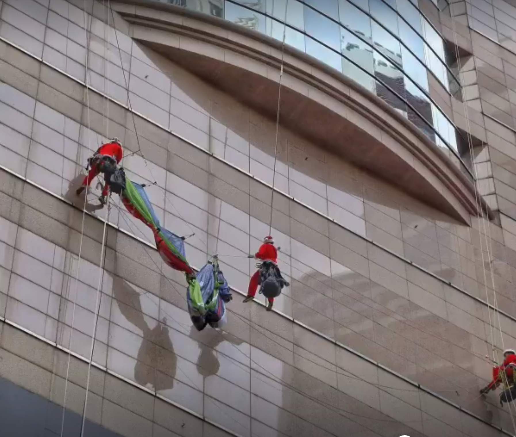 圖片來源：Greenpeace 綠色和平 - 香港網站