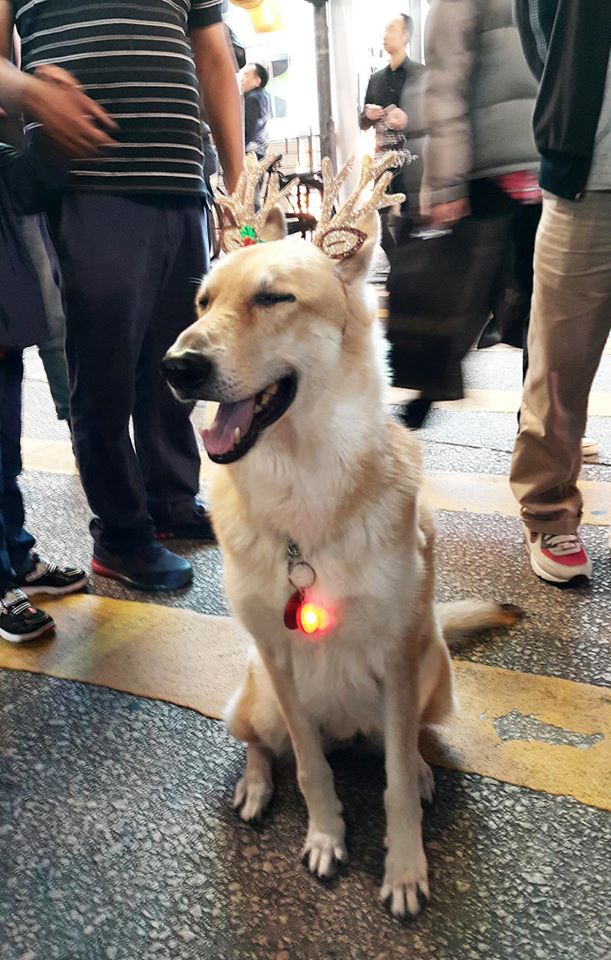 圖片來源：靚仔7頭一名