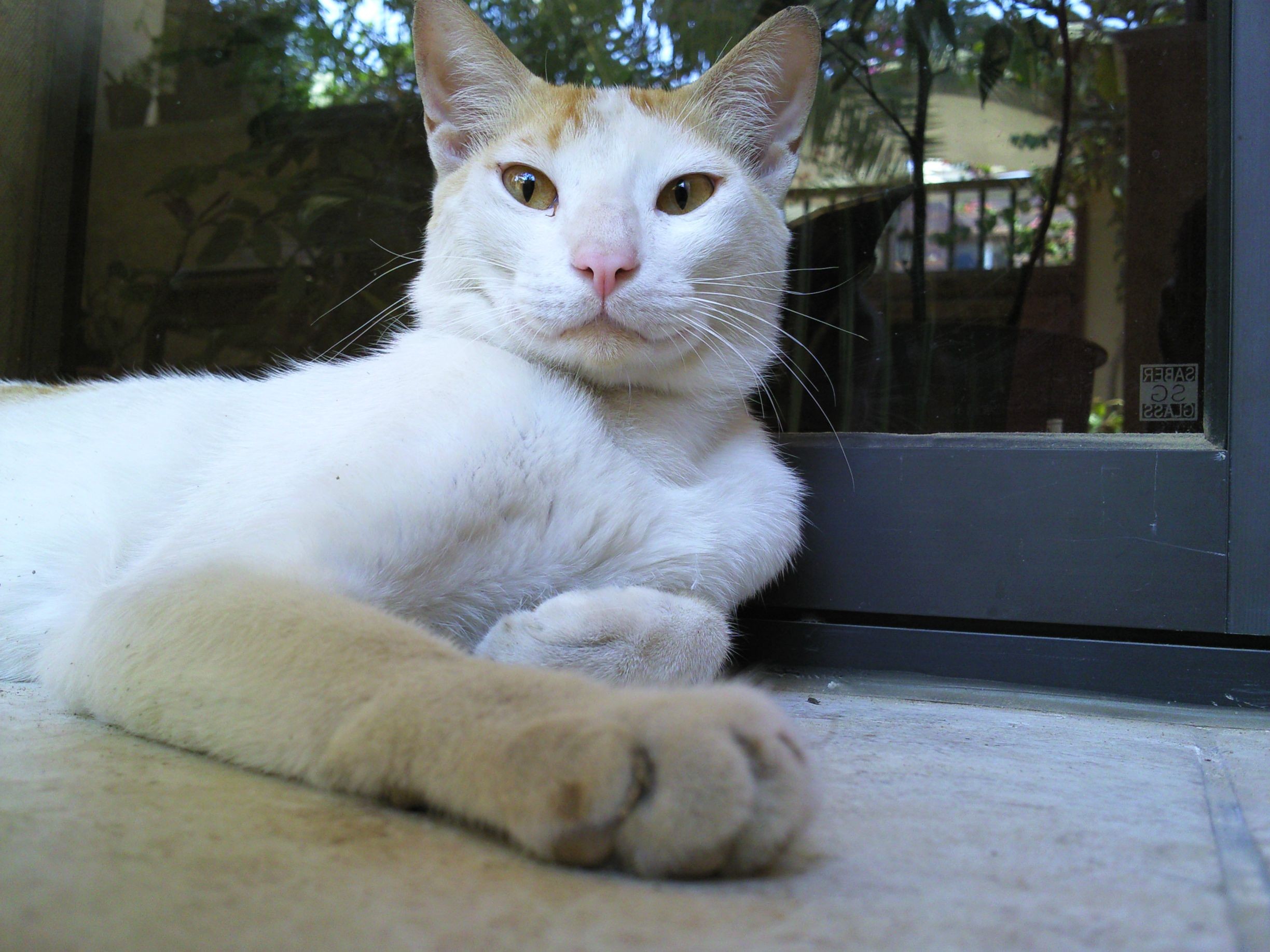 圖片來源：Waterleakx/reddit