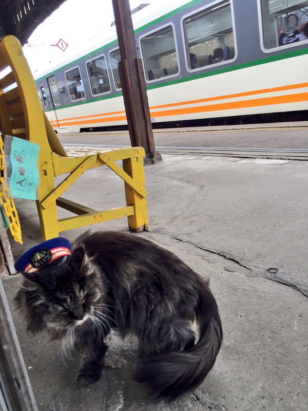 圖片來源：Ashinomakionsen/twitter