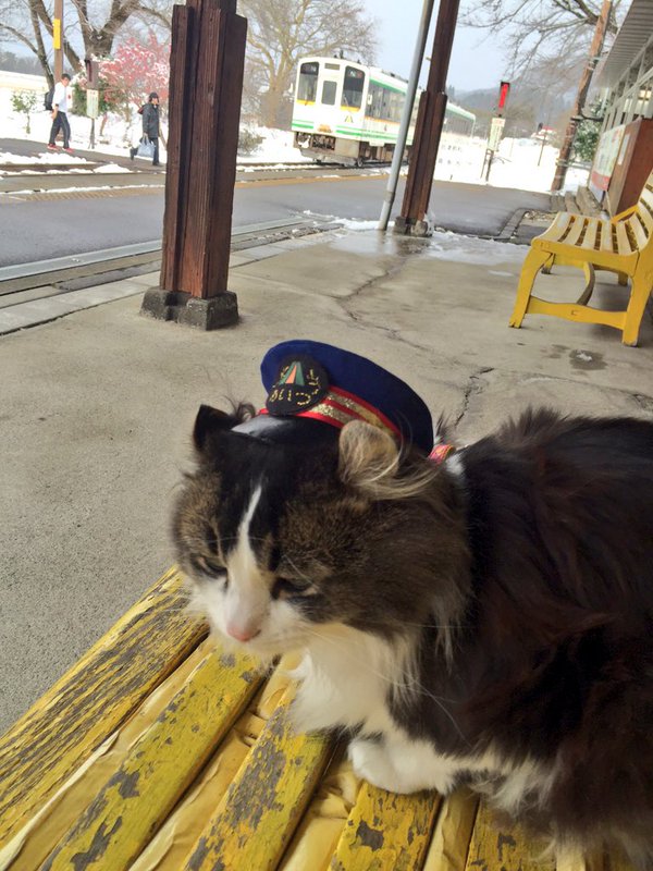 圖片來源：Ashinomakionsen/twitter