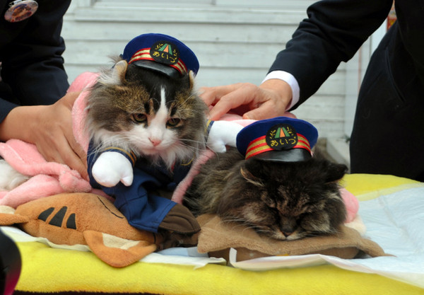 圖片來源：Ashinomakionsen/twitter