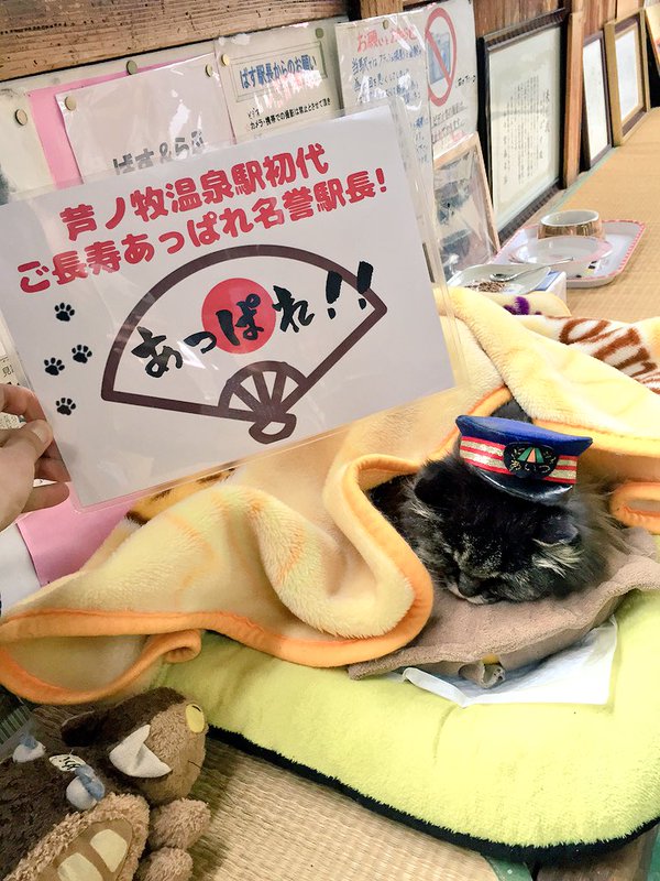 圖片來源：Ashinomakionsen/twitter