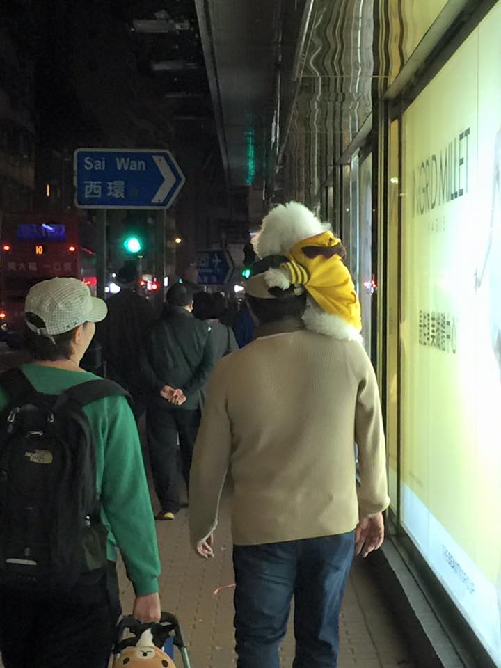 圖片來源:Elvis Hei