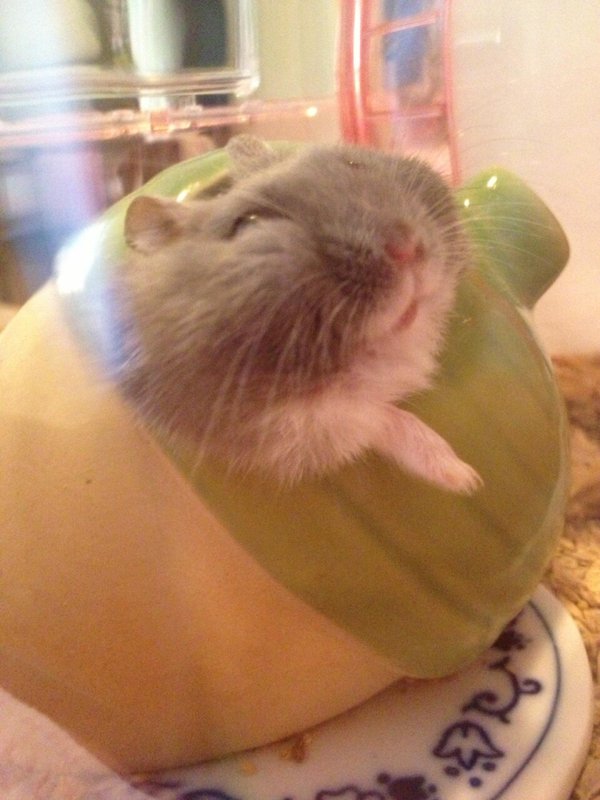 圖片來源:aobara_