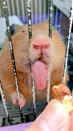 圖片來源:twitter