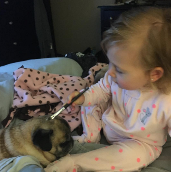 圖片來源: circus_pugs