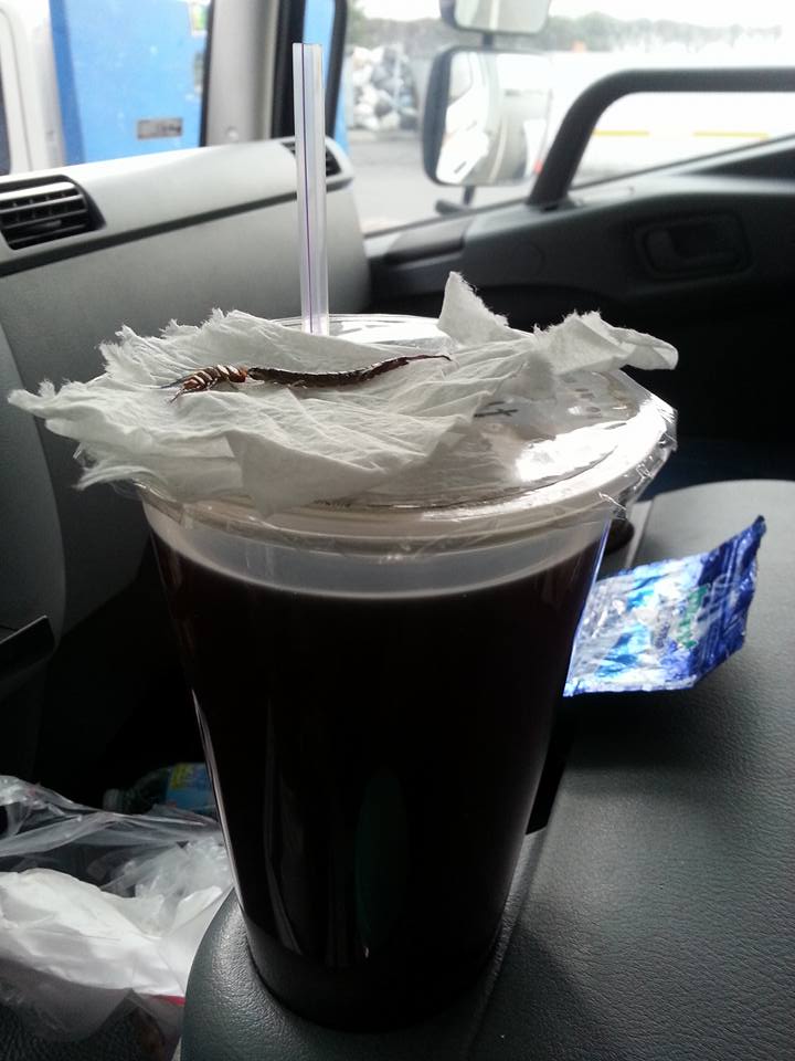 圖片來源:楊宗樺/●【爆料公社】●