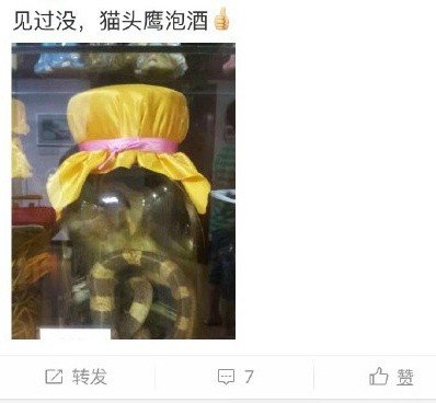 圖片來源：博物雜誌/微博