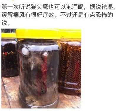 圖片來源：博物雜誌/微博