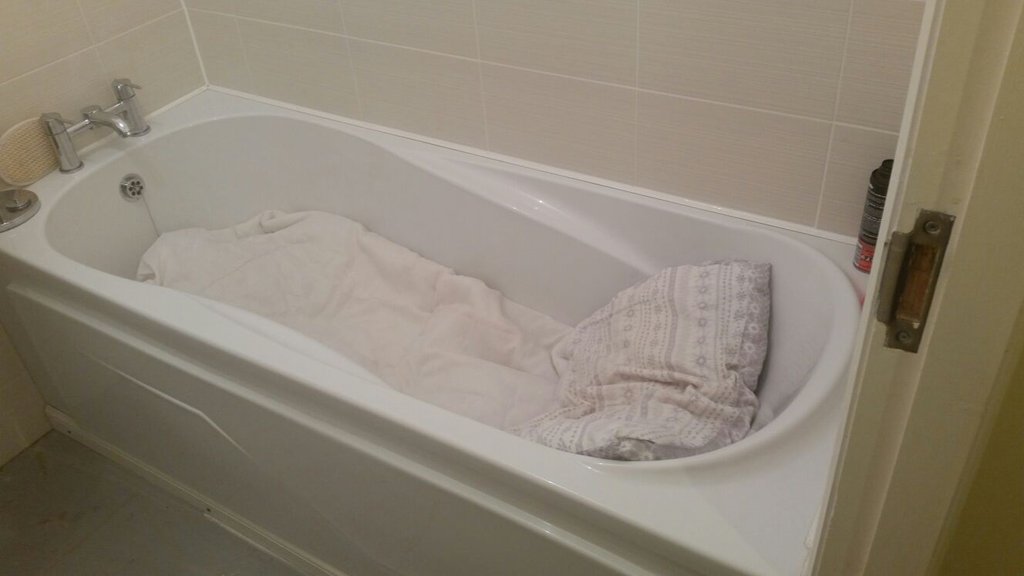 圖片來源:dannyandrews75/twitter