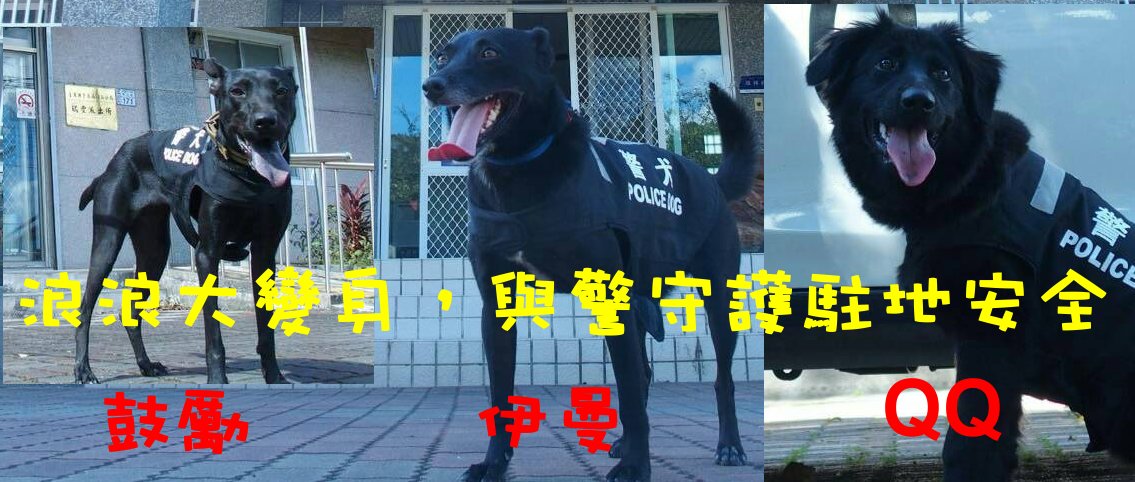 圖片來源:臺東縣警察局關山分局